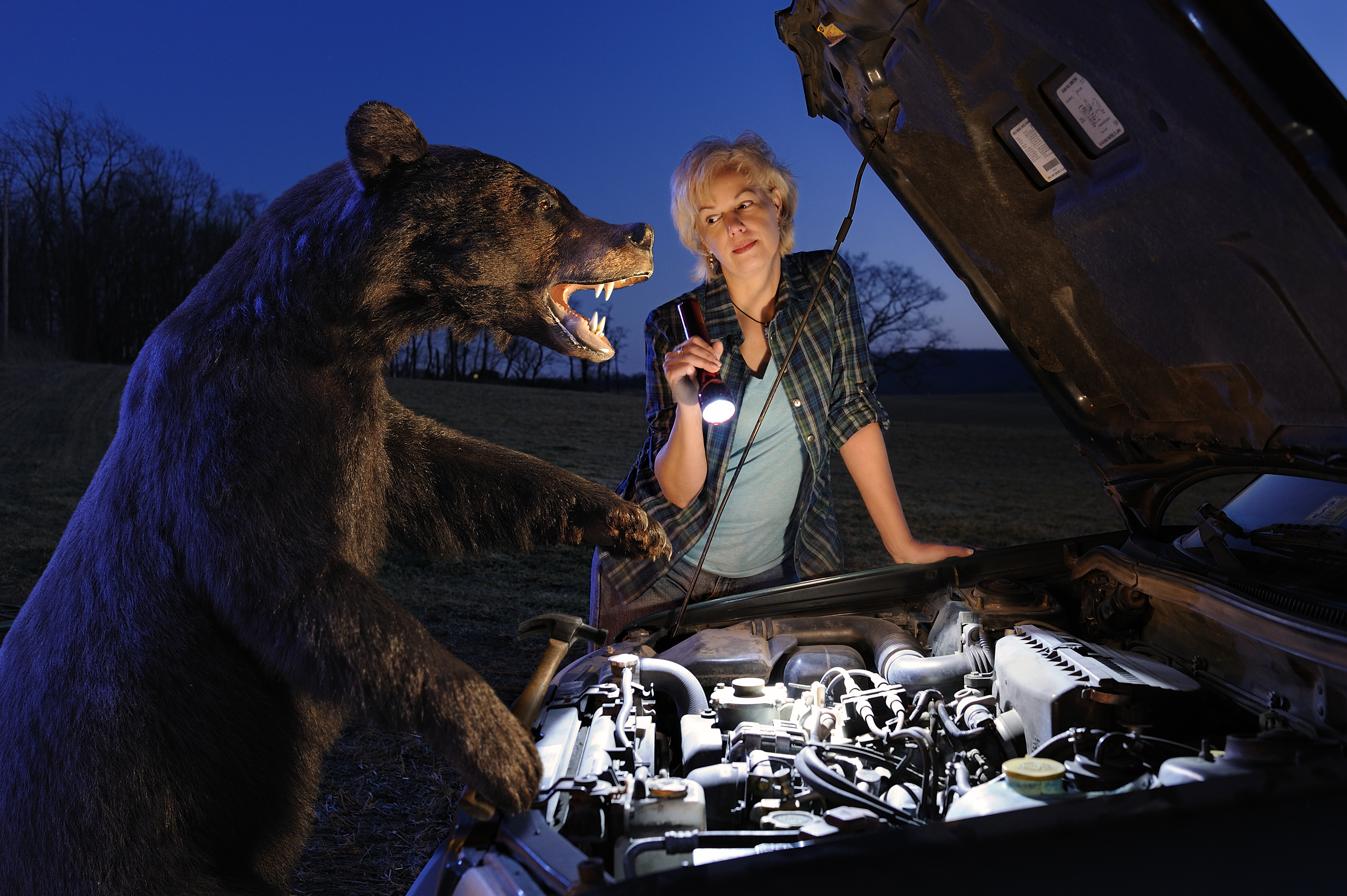 Kieran Lindsey, holding a flashlight, and a bear stand over an open car hood.