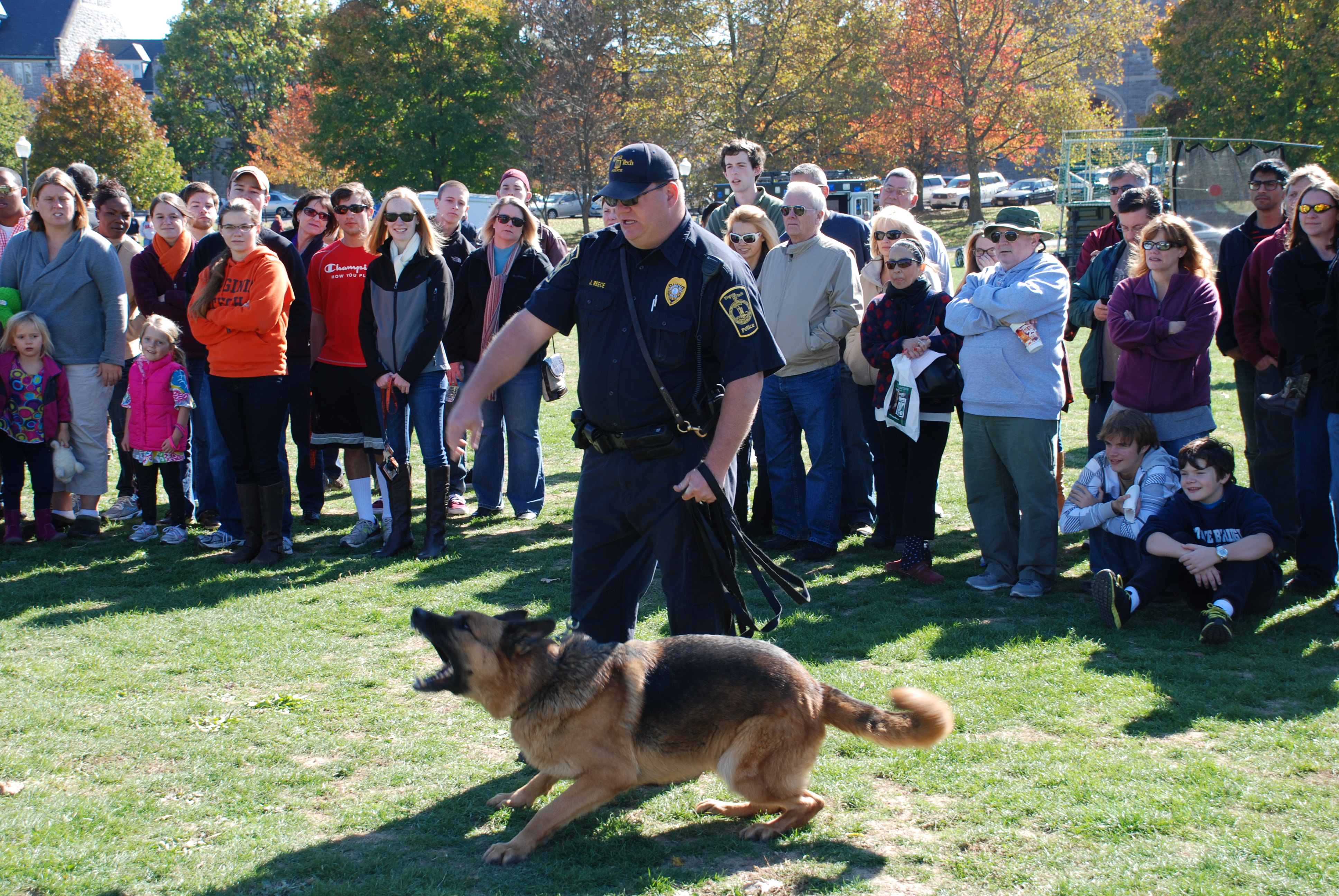 Virginia Tech Police Department does a K-9 demonstration on Community Day.