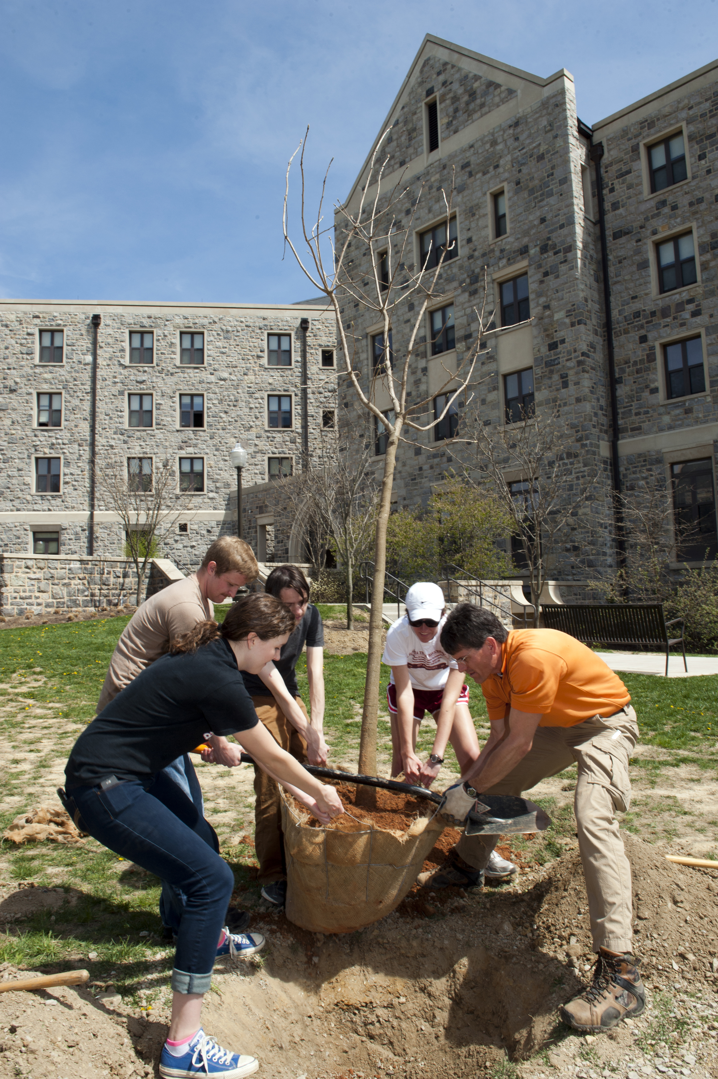 volunteers plant a tree on campus