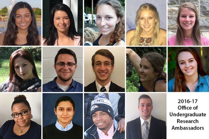 2016-16 Office of Undergraduate Research ambassadors