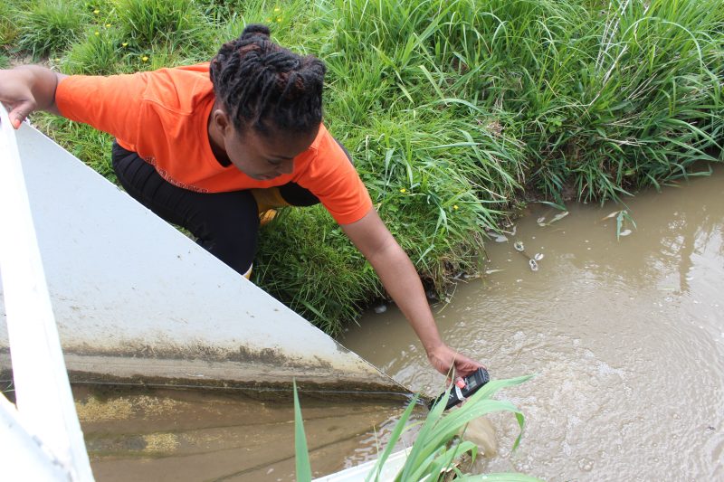 A student collects a sample from Stroubles Creek