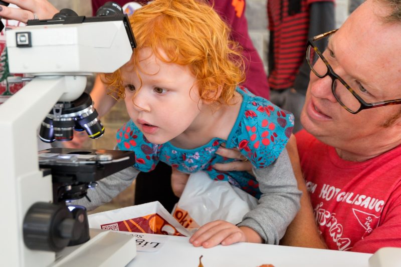 A young child peers through a microscope at last year's science festival