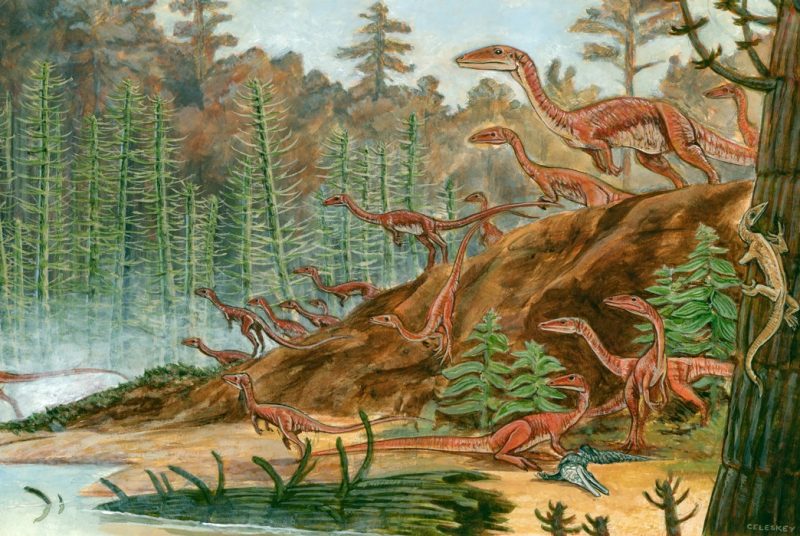 Dinosaurs in forest
