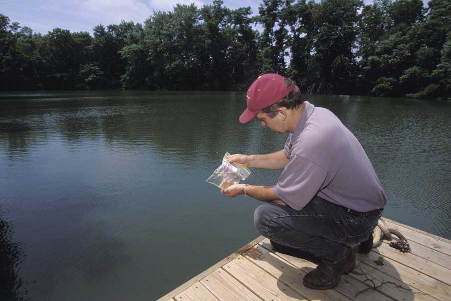 A researcher performs water quality testing.
