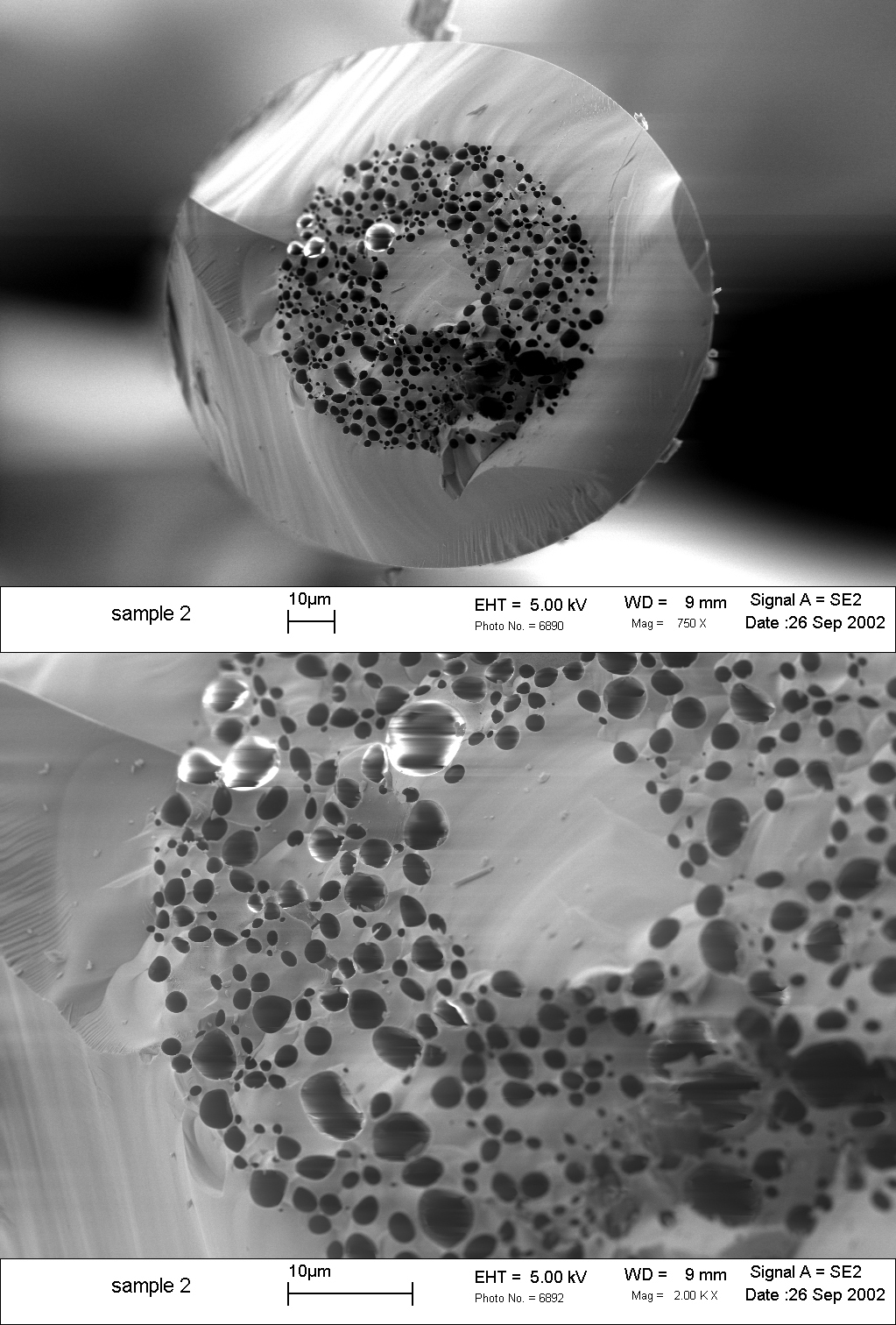 Scanning electron microscope (SEM) micrograph of random hole optical fiber (RHOF).