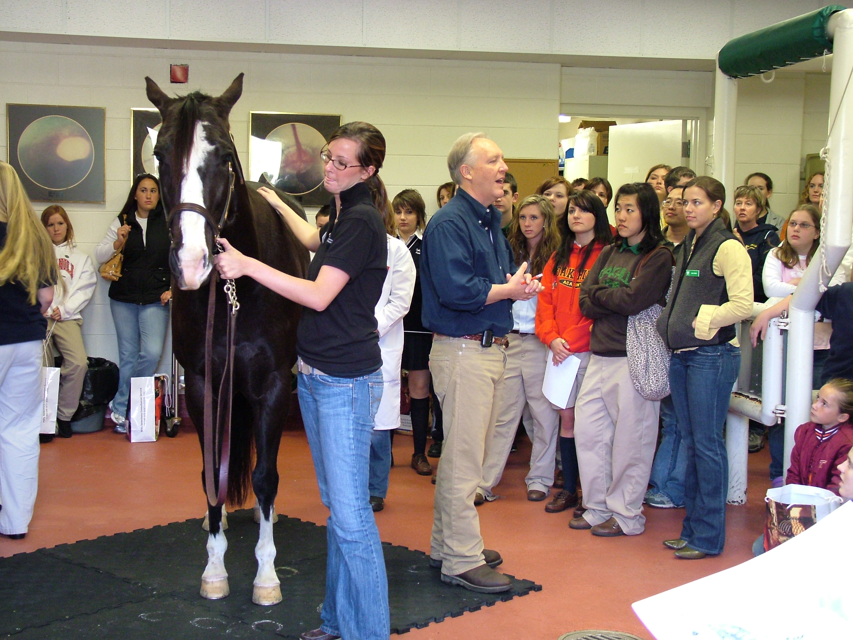 Dr. Mark Crisman, a professor in the Department of Large Animal Clinical Sciences, explains the benefits acupuncture can offer equine patients to a group a visitor's during the college's Annual Open House.