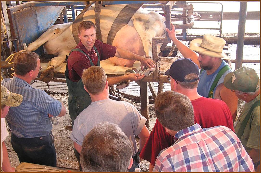 Dr. Ondrej Becvar, a clinical instructor in the Virginia-Maryland Regional College of Veterinary Medicine, demonstrates proper cattle hoof care. Becvar, a leading expert in his field, is working to improve bovine hoof locally and around the world.