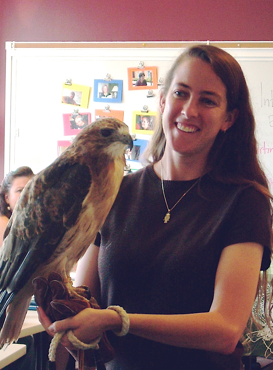 A demonstration by Virginia Tech English instructor Katie Fallon and Annie, a red-tailed hawk from the West Virginia Raptor Rehabilitation Center, introduced a session on nature writing at the Blue Ridge Writing Project.