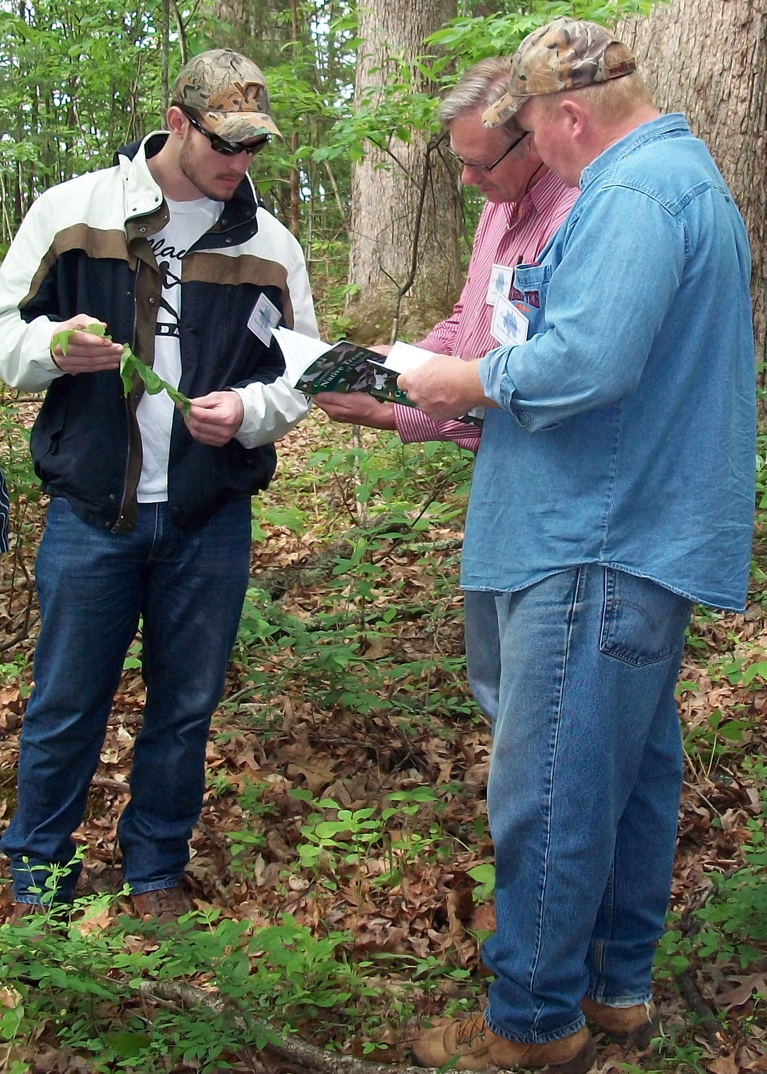 Three people standing in a wooded setting. One holds a booklet; another holds a leaf.