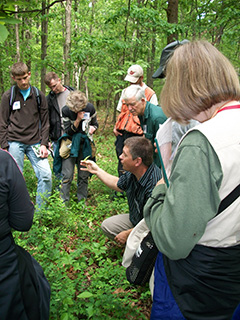 People in forest