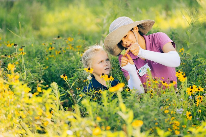 A woman in a hat shows a leaf to a child in the middle of a field of sunflowers.