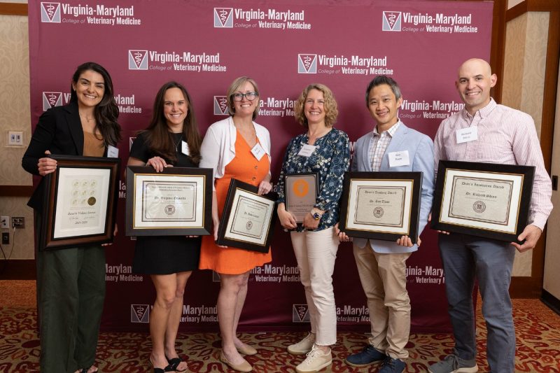 Faculty were celebrated for their contributions to the college, university, and field at the Annual Faculty Awards Ceremony.