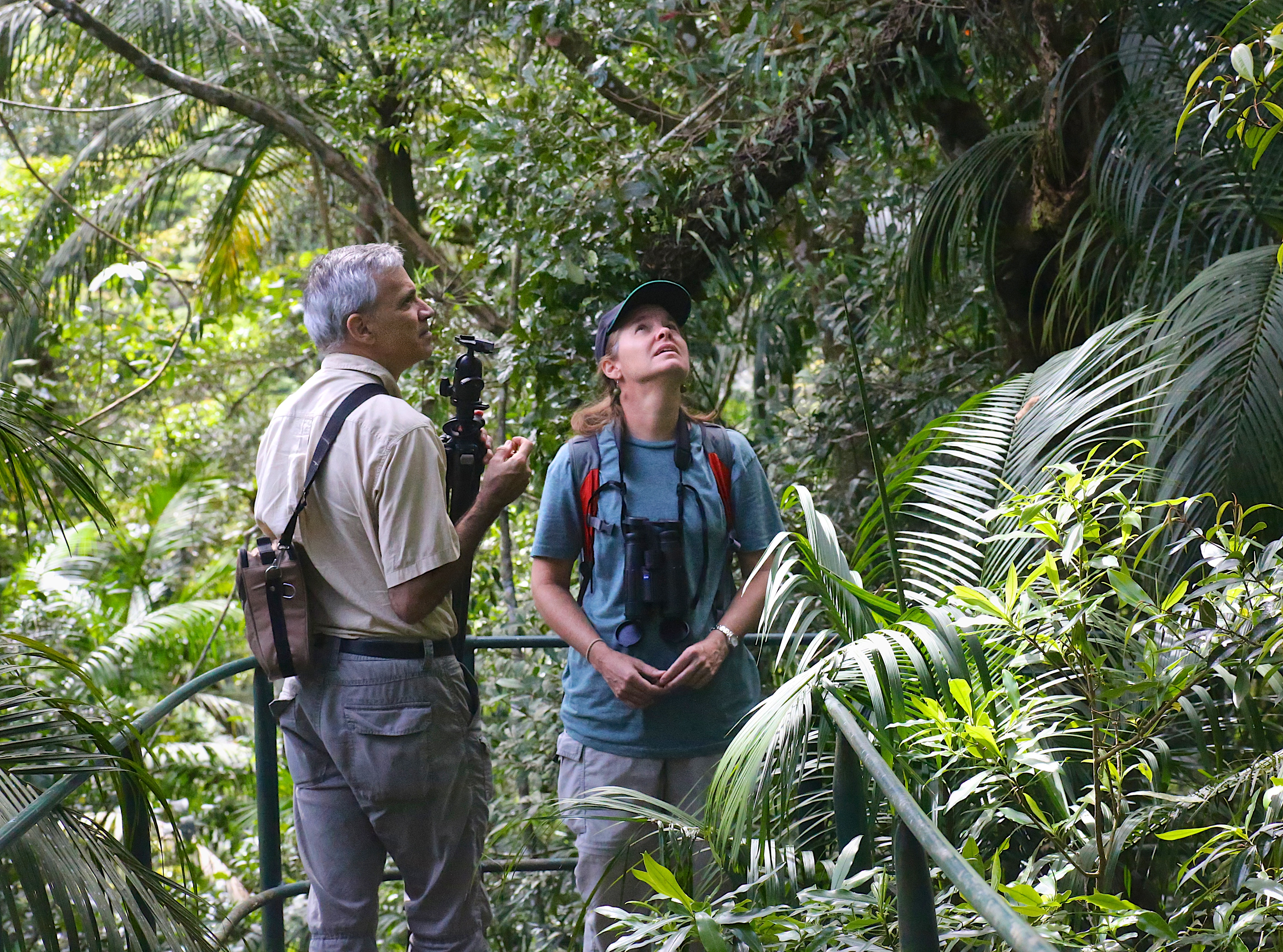 Scientists Work To Help Save The Amazon Rainforest And Its Biodiversity Virginia Tech Daily Virginia Tech