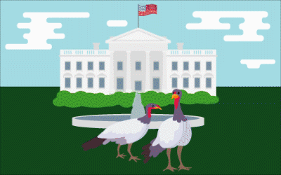 Follow the Presidential Turkeys