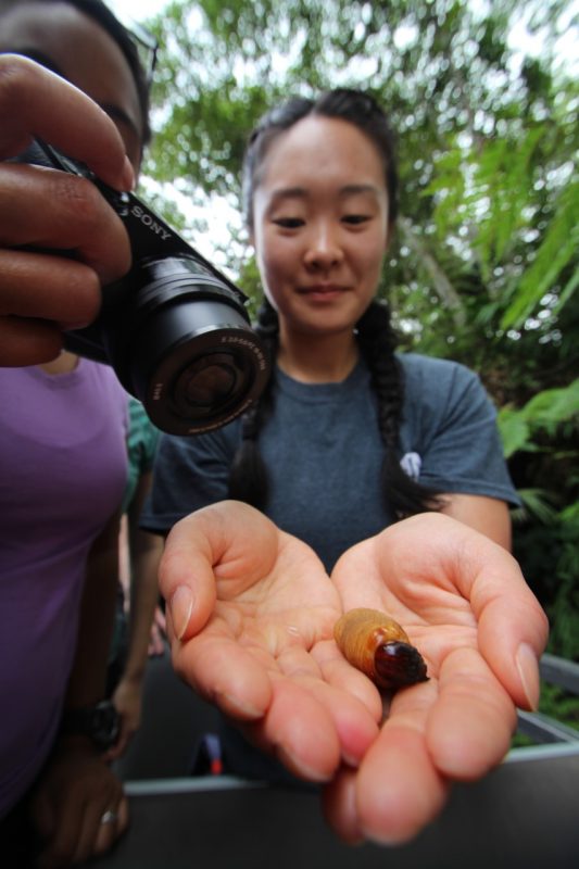 Charley Han  finds a grub in the forest,  which she later ate in the local way – while it was still squirming. 