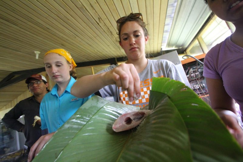 Sarah Bateman wrapping a fish in banana leaves before cooking it. 