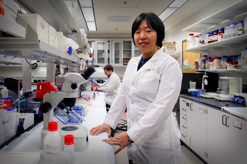 Shihoko Kojima working in her lab