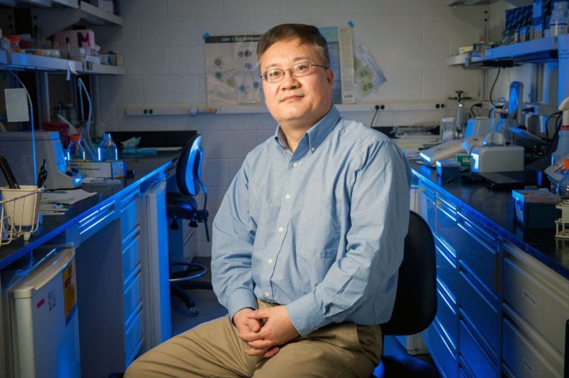 Xiaoping Zhu, associate dean and chair of the Department of Veterinary Medicine at the University of Maryland