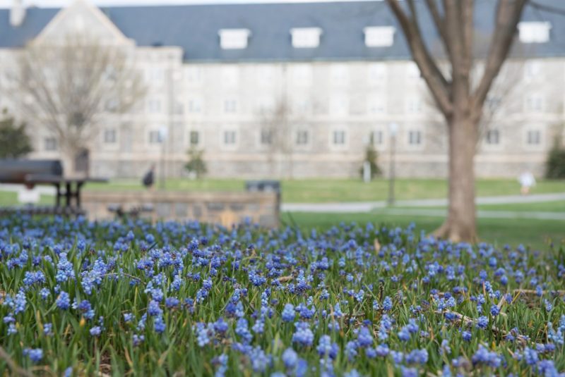 Image of Virginia Tech campus during spring.
