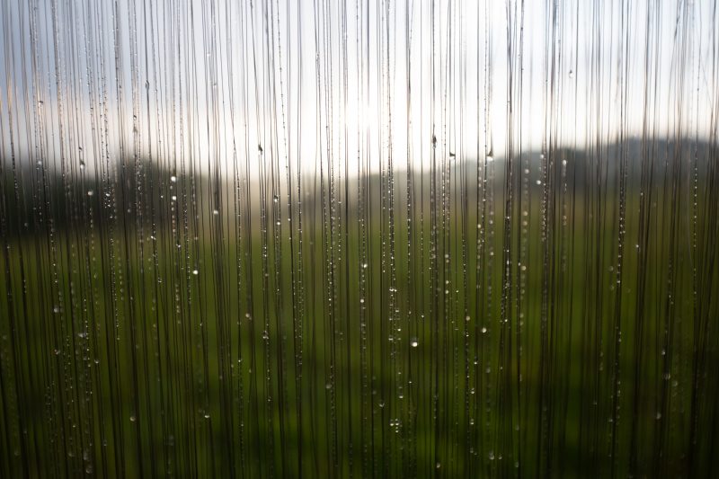 Fog harp water droplets