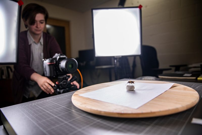 Maureen Saverot, University Libraries’ 3D texture artist, uses a turntable to take a picture of the specimen at every angle.
