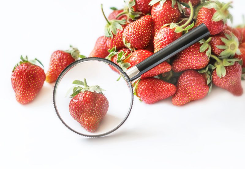 With some basic household materials, you’ll be able to see strawberry DNA with your own eyes. Photo by Tetiana/Adobe Stock.