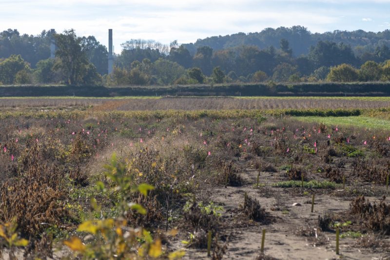 The research team will conduct their work on soil microbiomes at Kentland Farm. Photo credit: Olivia Coleman