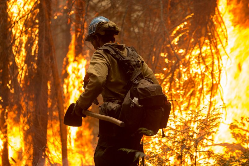 Image of forest fire fighter in front of fire 