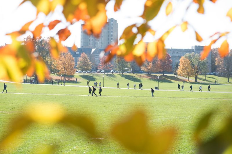 Fall leaves on the Drillfield
