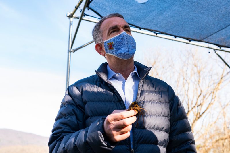 Gov. Northam, wearing a mask, holds a dirty root in his fingers.