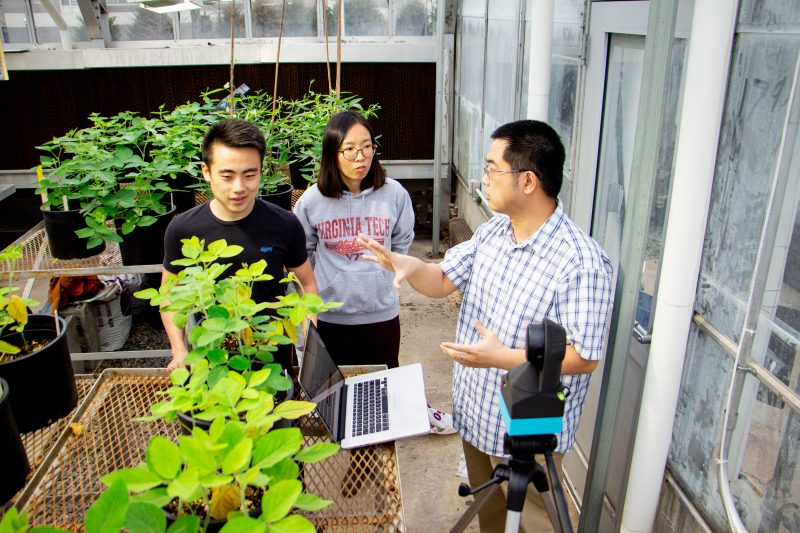 Song Li, an affiliated faculty member in the Center for Advanced Innovation in Agriculture, incorporates robotics and big data in his research to increase yield in production agriculture crops.
